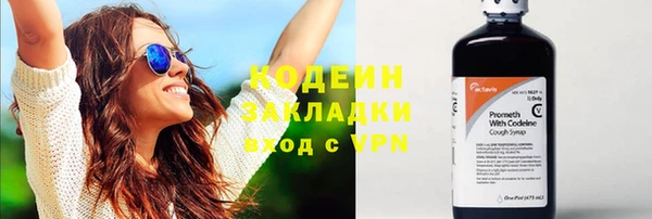 прущие грибы Балахна