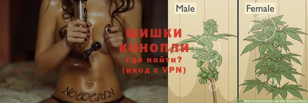 мескалин Михайлов