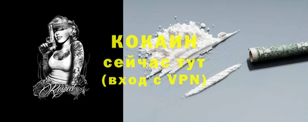 гидропоника Карталы
