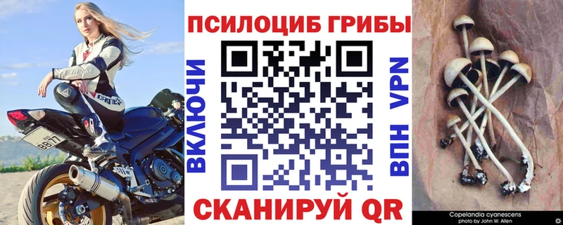 MEGA как зайти  Комсомольск  Галлюциногенные грибы MAGIC MUSHROOMS 